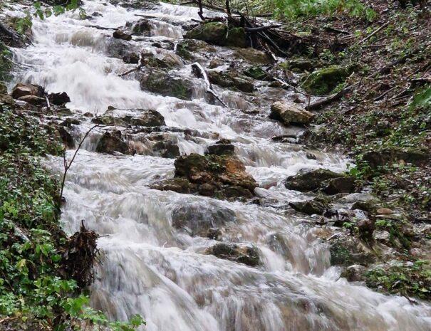 stari-mlin-franja-pocitniska-hisa-najem-turizem (24)