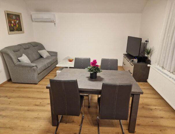 vila-lastovka-apartma-ljubljana (10)