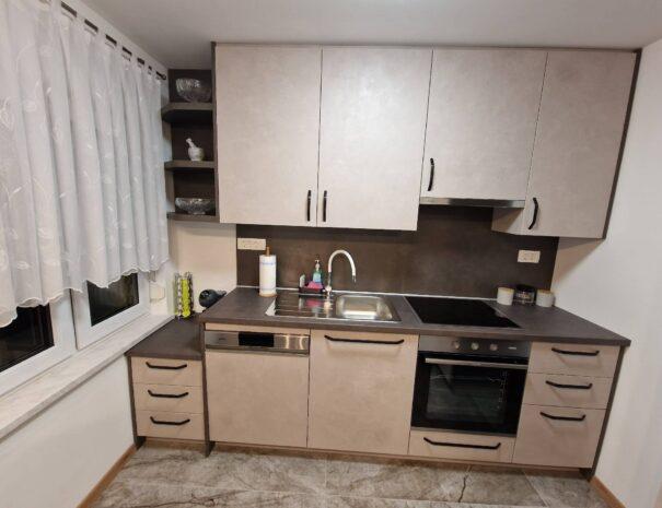 vila-lastovka-apartma-ljubljana (15)