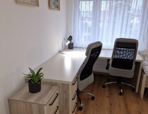 vila-lastovka-apartma-ljubljana (42)